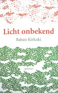 cover licht onbekend 2013